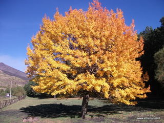 Monte_Vetore - 08-11-2012 14-35-34.JPG